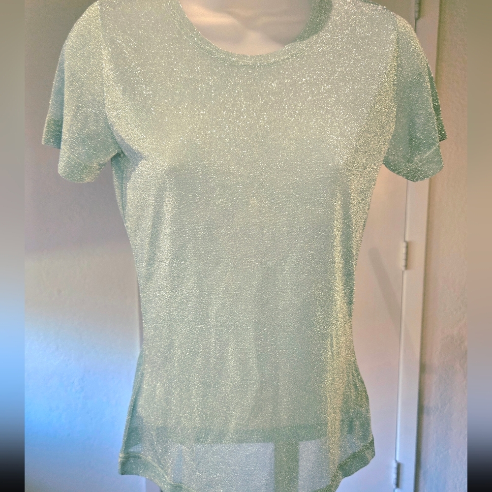 Barneys New York Shimmery Blue Green Sheer Short Sleeve Top